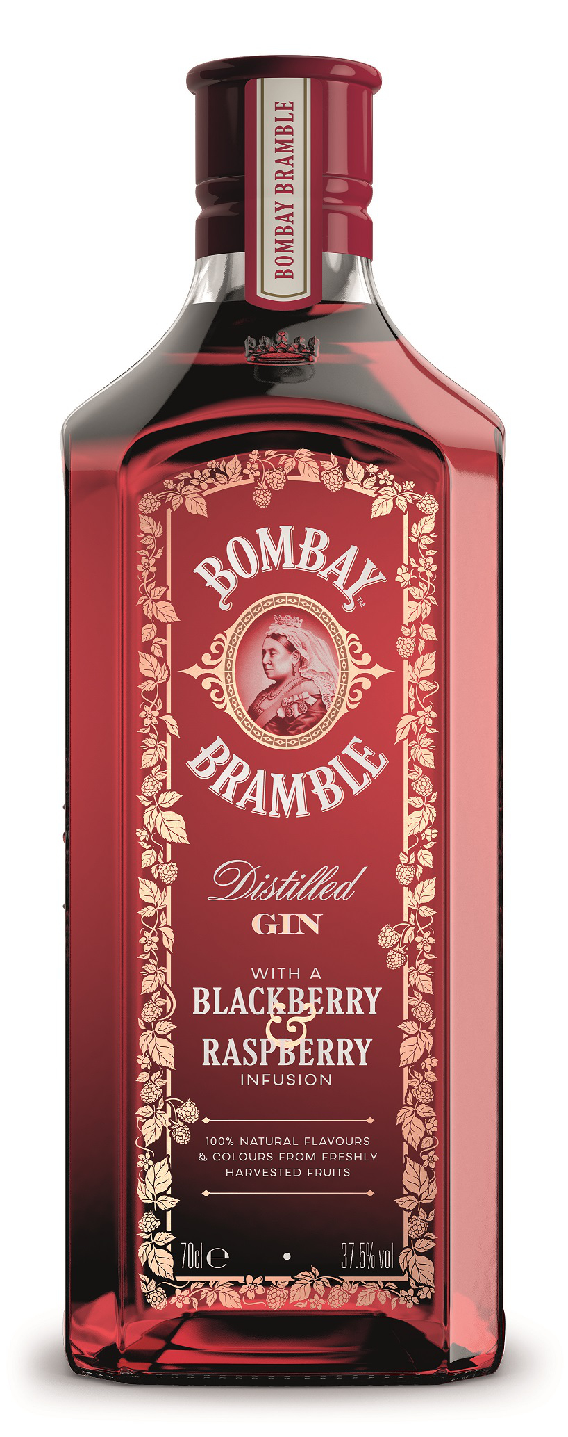 Bombay Bramble Gin 
